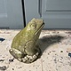 Vintage garden statue froggy