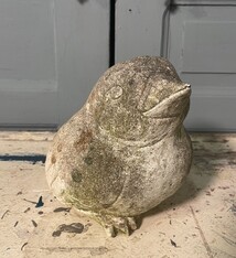 Bird with Ozempic craving