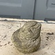 Pair of cement birds with a smile on their face