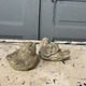 Pair of cement birds with a smile on their face