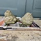 Pair of cement birds with a smile on their face