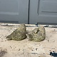 Stel betonnen vogeltjes met een grijns op hun bekkie