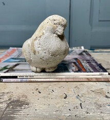 Lonely pigeon