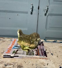 Vogeltje met Ozempic wens II