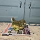 Sweet vintage garden statue,  little oversized bird, lovely patina