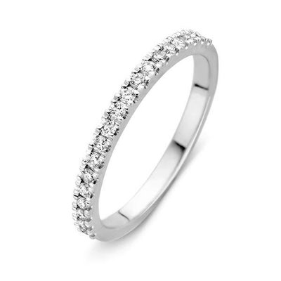 Witgouden Ring Met Briljant Witgouden Ring Met Briljant