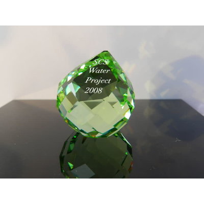 Swarovski Swarovski 2008 SCS Gala Water 967003 Swarovski Swarovski 2008 SCS Gala Water 967003