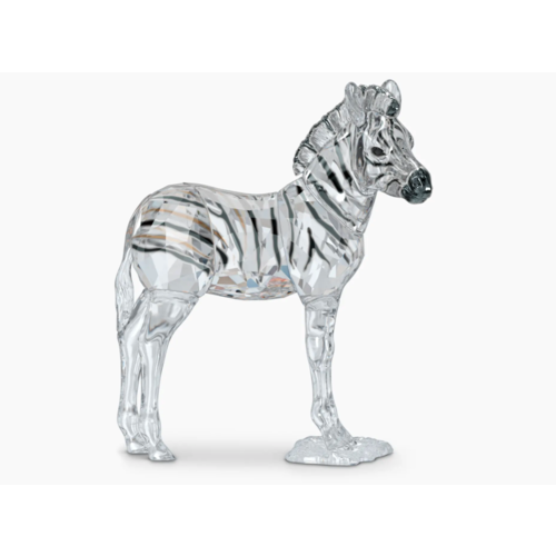 Swarovski Babyzebra Zuri 5557906 Swarovski Babyzebra Zuri 5557906