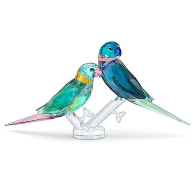 Swarovski Jungle Beats Parakiet Swarovski Jungle Beats Parakiet