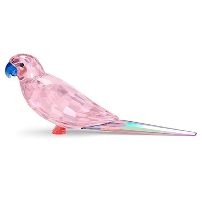 Swarovski Jungle Beats Roze Parkiet Cha Cha Swarovski Jungle Beats Roze Parkiet Cha Cha