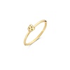 Blush Blush Geelgouden Ring 1193YGO/54 Blush Blush Geelgouden Ring 1193YGO/54