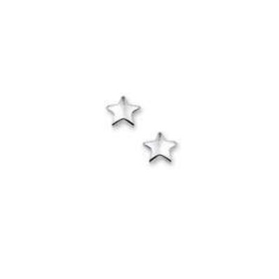 vDam Zilveren oorsieraden 1323174 vDam Zilveren oorsieraden 1323174