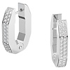 Swarovski Dextera Ringoorbellen Swarovski Dextera Ringoorbellen