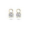 Blush Blush oorhanger 9045YZI Blush Blush oorhanger 9045YZI