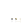vDam vDam Vergulde Oorsieraden E1021/3Y vDam vDam Vergulde Oorsieraden E1021/3Y