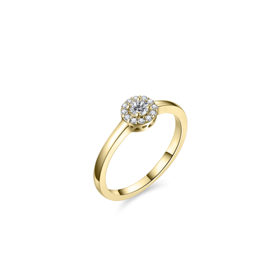 vDam vDam 14krt gouden ring VGR005 * vDam vDam 14krt gouden ring VGR005 *