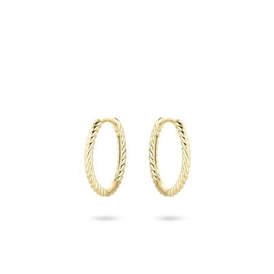 vDam vDam 14krt houden oorsieraden VGKCJ1/15 * vDam vDam 14krt houden oorsieraden VGKCJ1/15 *