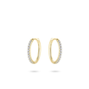 vDam vDam 14krt gouden oorsieraden VGKCK1/15 vDam vDam 14krt gouden oorsieraden VGKCK1/15