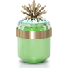 Swarovski Swarovski Jungle Beats Decoratief Box Andoki 5619216 Swarovski Swarovski Jungle Beats Decoratief Box Andoki 5619216
