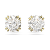 Swarovski Swarovski Constella Oorsieraad Swarovski Swarovski Constella Oorsieraad