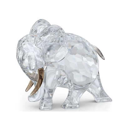 Swarovski African Sunset Elephant Hami Swarovski African Sunset Elephant Hami