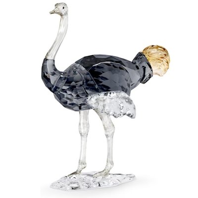 Swarovski Swarovski Elegance of Africa SCS Struisvogel Makena Swarovski Swarovski Elegance of Africa SCS Struisvogel Makena