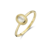 Blush Blush 14krt gouden ring 1239YMQ/54 Blush Blush 14krt gouden ring 1239YMQ/54