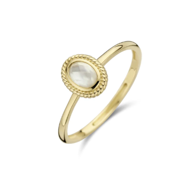 Blush Blush 14krt gouden ring 1239YMQ/54 Blush Blush 14krt gouden ring 1239YMQ/54