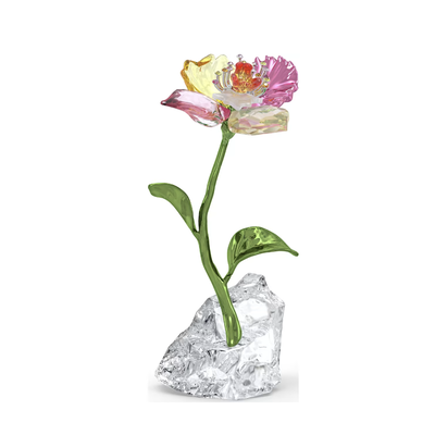 Swarovski Swarovski Bloem Klein 5639883 Swarovski Swarovski Bloem Klein 5639883