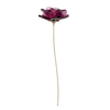 Swarovski Swarovski Bloem Roos 5557800 Swarovski Swarovski Bloem Roos 5557800