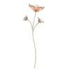 Swarovski Swarovski Bloem Magnolia 5557799 Swarovski Swarovski Bloem Magnolia 5557799
