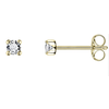 Gisser Oorbellen Goud VGE001/2.5 Gisser Oorbellen Goud VGE001/2.5