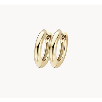 Blush Blush oorbellen 7307WZI Blush Blush oorbellen 7307WZI