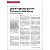 Selbstorganisation und Softwareentwicklung