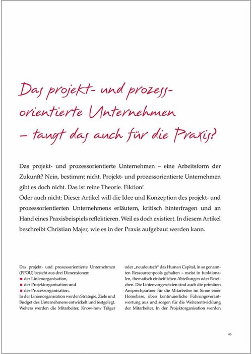 Das projekt- und prozessorientierte Unternehmen – taugt das auch für die Praxis?