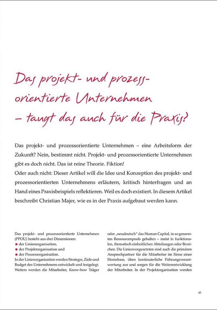 Das projekt- und prozessorientierte Unternehmen – taugt das auch für die Praxis?