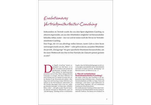 Evolutionäres Vertriebsmitarbeiter-Coaching