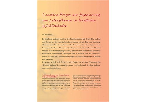 Coaching-Fragen zur Inszenierung von Lebensthemen in beruflichen Wirklichkeiten