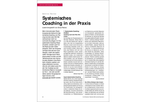 Systemisches Coaching in der Praxis