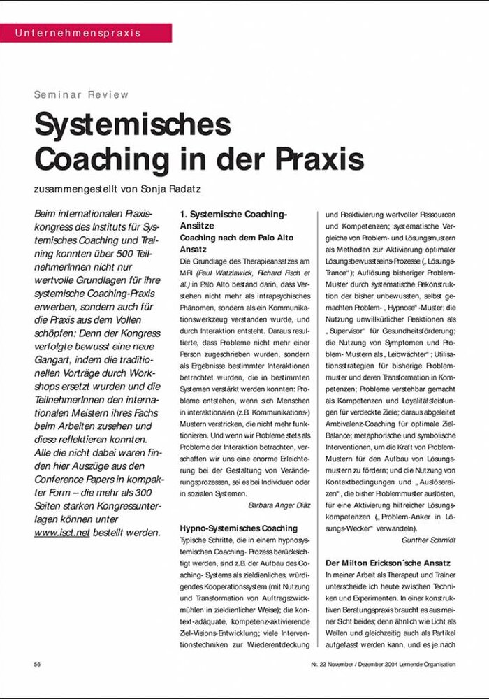 Systemisches Coaching in der Praxis