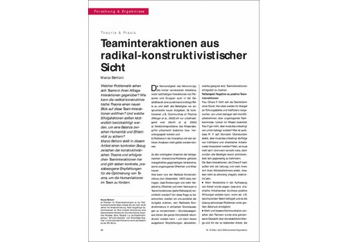 Teaminteraktionen aus radikal-konstruktivistischer Sicht