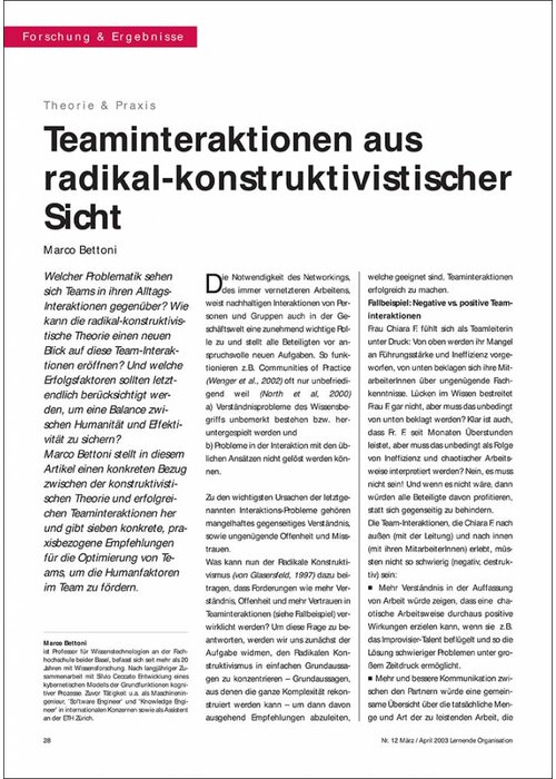 Teaminteraktionen aus radikal-konstruktivistischer Sicht