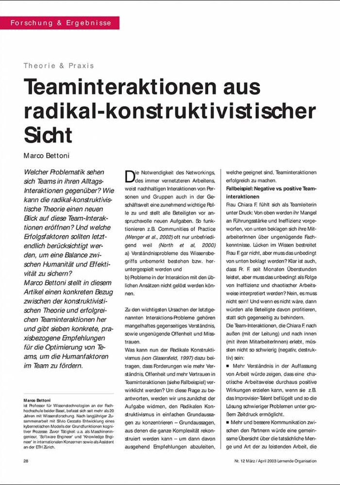 Teaminteraktionen aus radikal-konstruktivistischer Sicht