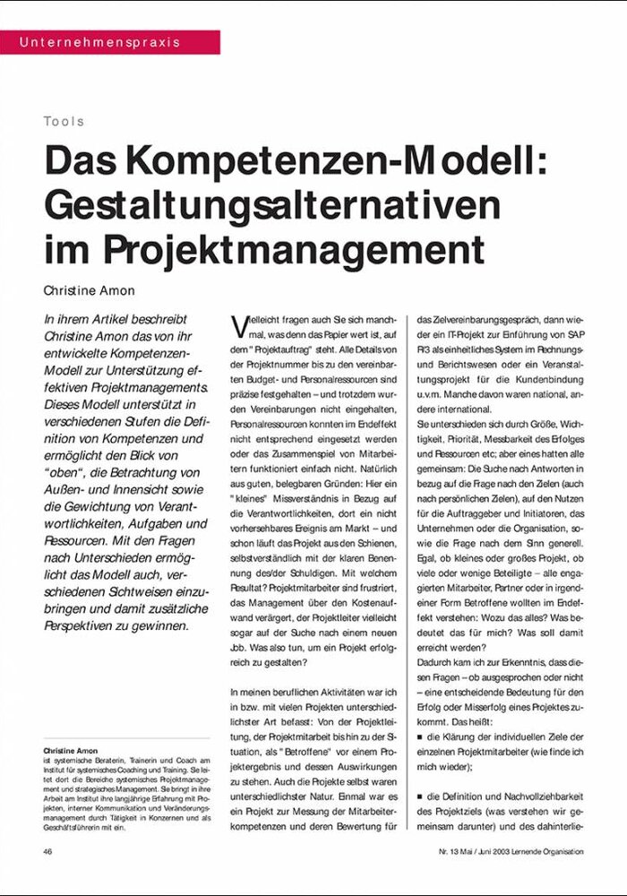 Das Kompetenzen-Modell: Gestaltungsalternativen im Projektmanagement