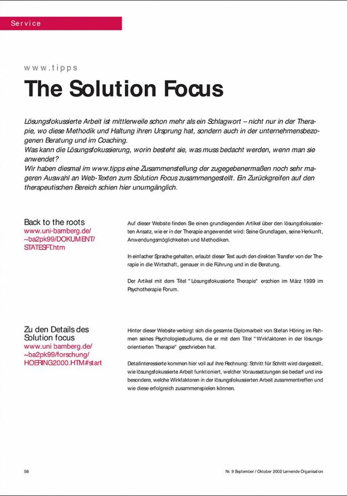The Solution Focus