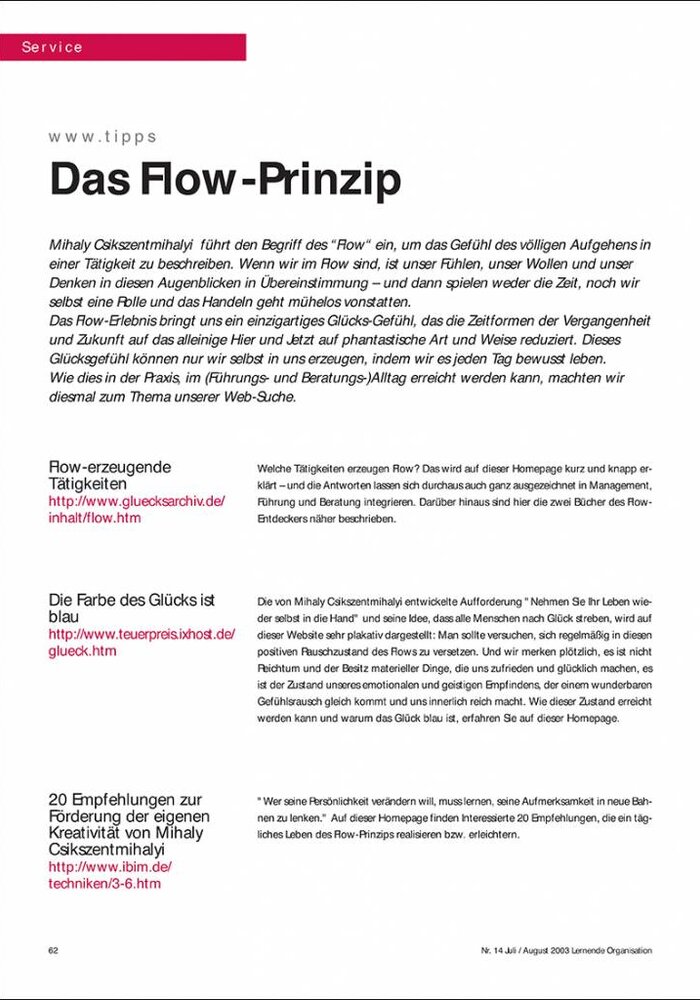 Das Flow-Prinzip