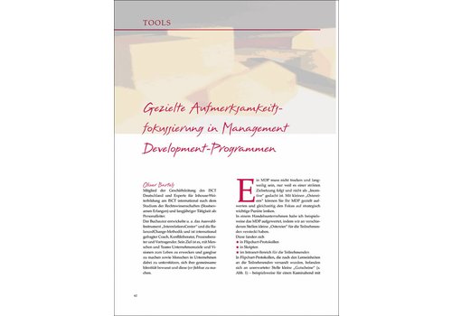 Gezielte Aufmerksamkeitsfokussierung in Management Development-Programmen