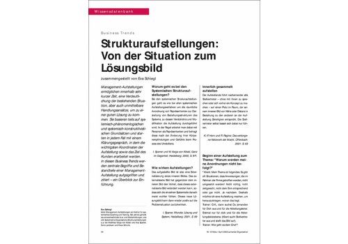 Strukturaufstellungen: von der Situation zum Lösungsbild