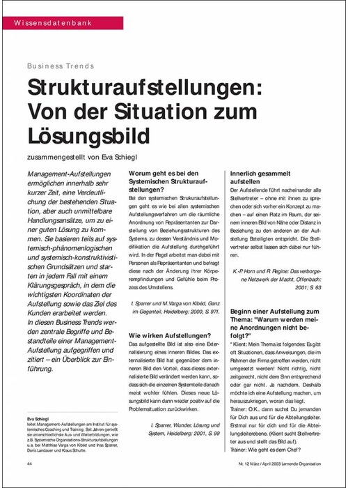 Strukturaufstellungen: von der Situation zum Lösungsbild