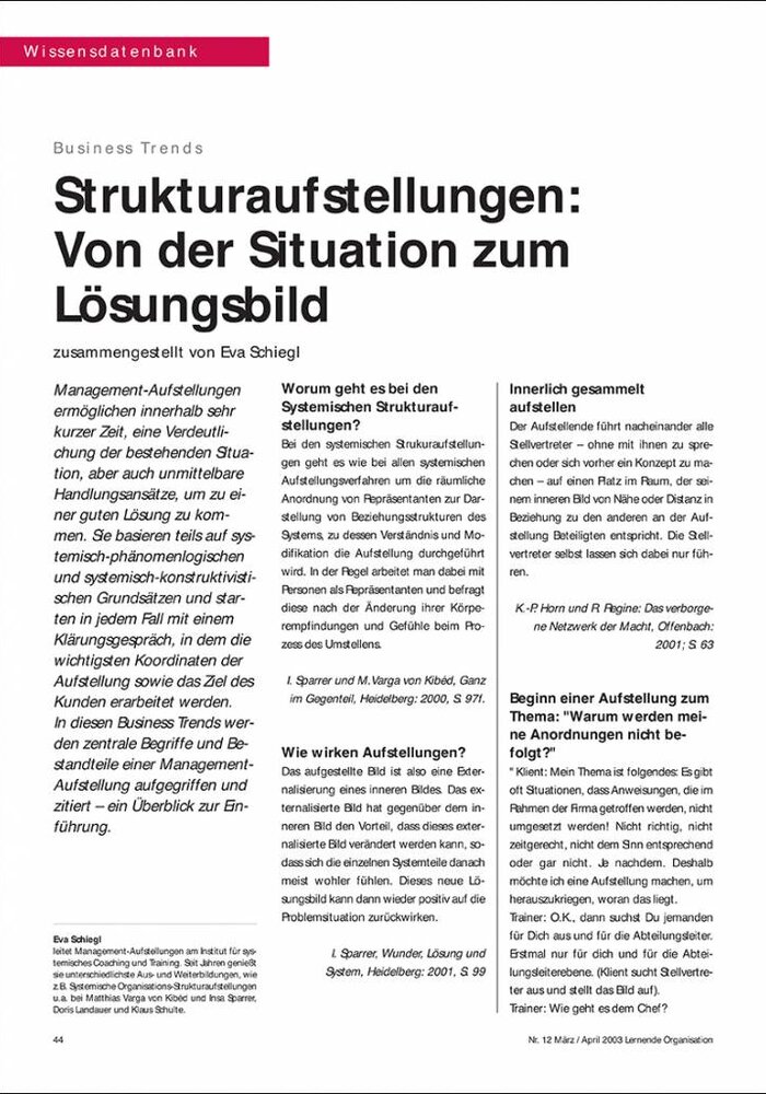 Strukturaufstellungen: von der Situation zum Lösungsbild
